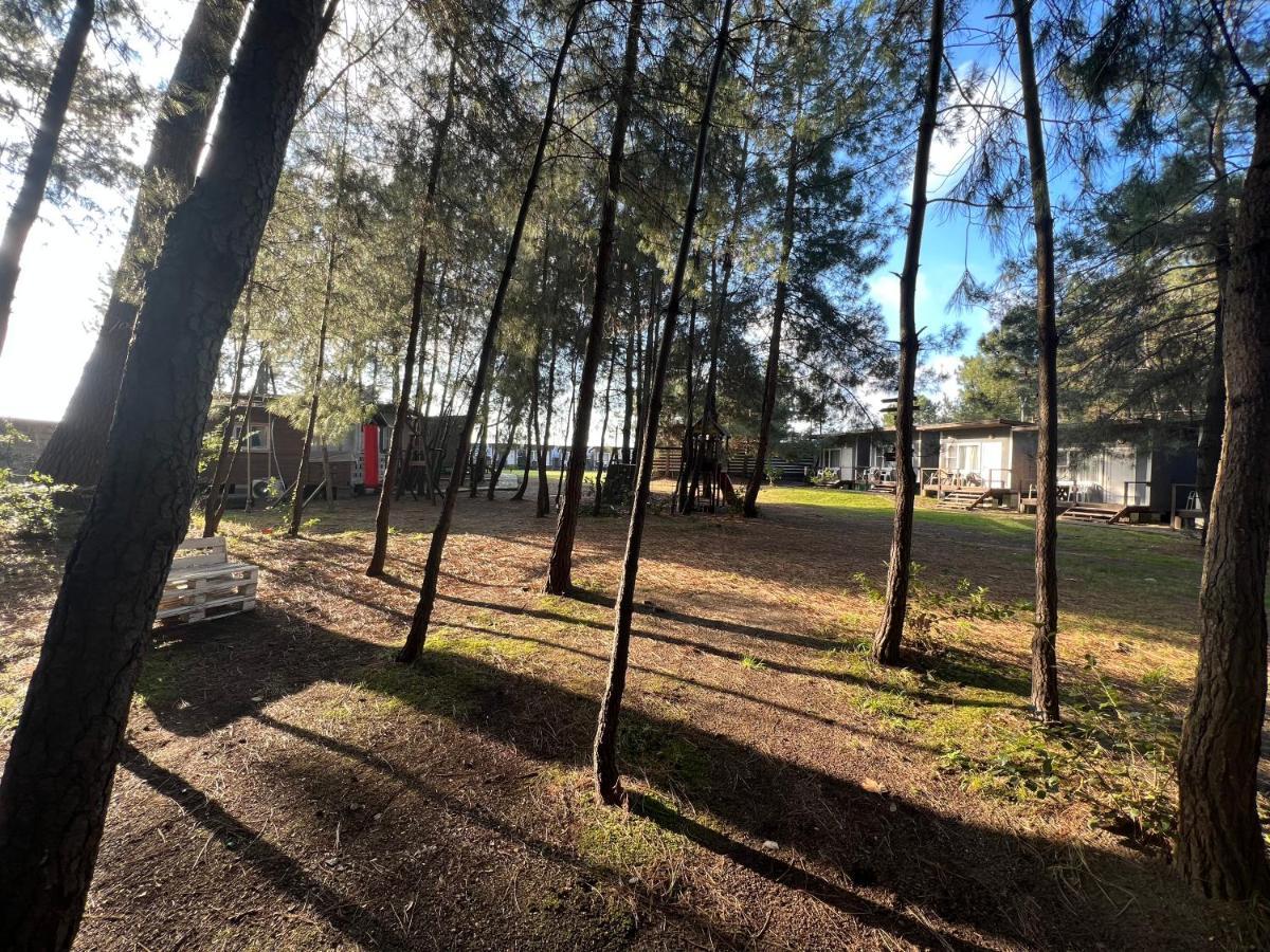 Mini-Hotel Forest Club Pizunda Eksteriør bilde